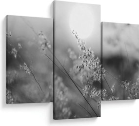 Obraz - Jesenná lúka (90x60 cm)