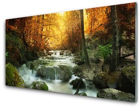 Sklenený obklad Do kuchyne Vodopád príroda les jeseň 125x50 cm