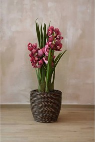 Interiérový kvetináč MASTELLO, ratan, 33x30 cm, natur/čierna