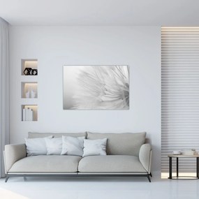 Obraz - Púpava (90x60 cm)