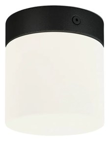 NOWODVORSKI Stropné osvetlenie do kúpeľne CAYO, 1xG9, 25W, čierne, biele