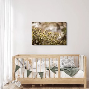 Obraz - Zeleň (90x60 cm)