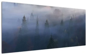 Obraz - Les v hmle, Karpaty, Ukrajina (120x50 cm)