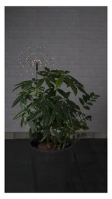 Vonkajšie solárne LED svietidlo s bielymi diódami Star Trading Firework, výška 100 cm