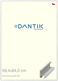 DANTIK rám na obraz 59,4x84 | ALU Dýha barevná šedá světlá (Plexi Čiré)