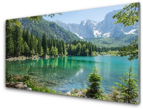 Obraz plexi Hory jazero les príroda 125x50 cm
