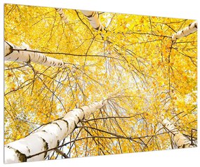 Obraz brezy (90x60 cm)
