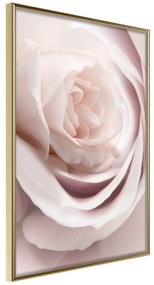 Artgeist Plagát - Porcelain Rose [Poster] Veľkosť: 20x30, Verzia: Zlatý rám