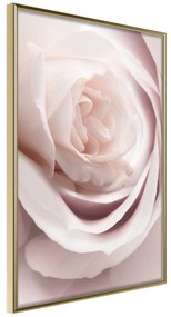 Artgeist Plagát - Porcelain Rose [Poster] Veľkosť: 40x60, Verzia: Zlatý rám s passe-partout