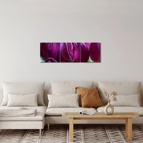 Obraz tulipánov (s hodinami) (90x30 cm)