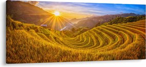 Obraz - Ryžové terasy vo Vietname (120x50 cm)