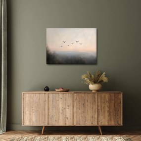 Obraz - Hejno vtákov (70x50 cm)