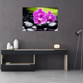 Obraz - Orchidey (90x60 cm)