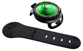 LED svetlo na obojok Green – Orbiloc