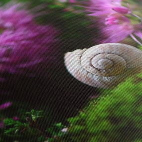 Obraz - Slimáková ulita (120x50 cm)
