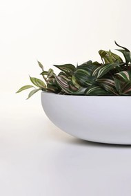 Okrasná miska PLANA, sklolaminát, 11xØ43 cm, biela