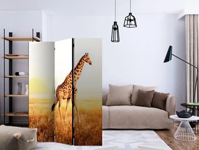 Artgeist Paraván - giraffe - walk [Room Dividers]