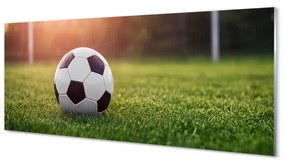 Obraz plexi Futbal tráva gateway 120x60 cm