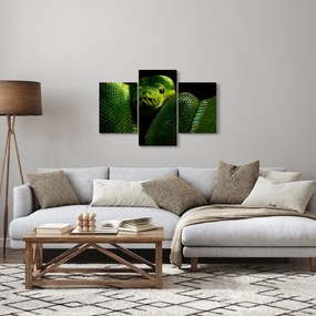 Obraz - Zelený had (90x60 cm)