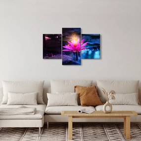 Obraz lekna na vode (90x60 cm)