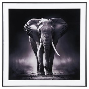 Obraz 50x50 cm Elephant - PT LIVING