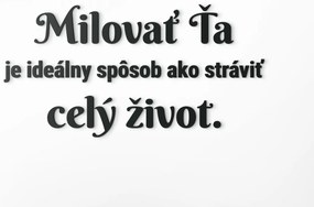 drevko Citát o láske Milovať ťa je ideálny spôsob, ako stráviť celý život Rozmer obrazu: 30,5 x 60 cm, Farba dekorácie: Čierna