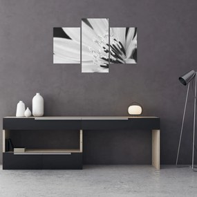 Obraz - Čiernobiely kvet (90x60 cm)