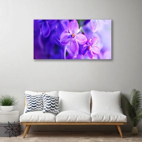 Obraz Canvas Fialové kvety príroda 125x50 cm