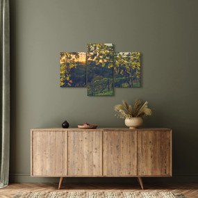 Obraz - Vinice (90x60 cm)
