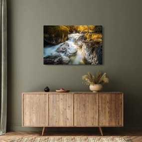 Obraz - Lesný potok (90x60 cm)