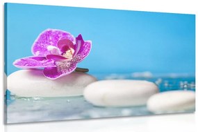 Obraz orchidea a Zen kamene - 120x80