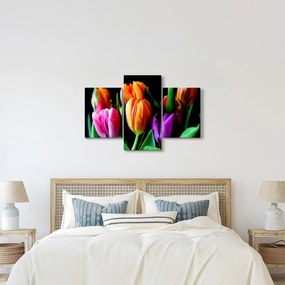 Obraz tulipánov na čiernom pozadí (90x60 cm)