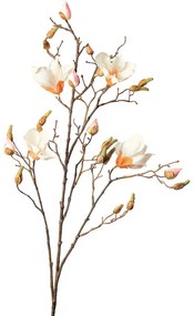 XXXLutz MAGNÓLIA 110 cm - Kvetinové dekorácie - 006860019471