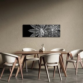 Obraz - Kvapky (s hodinami) (90x30 cm)