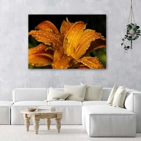 Obraz na plátně Lilie Květina Zlatá příroda - 100x70 cm