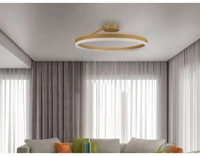 LED Stmievateľný prisadený luster LED/40W/230V 3000-6500K zlatá + diaľkové ovládanie