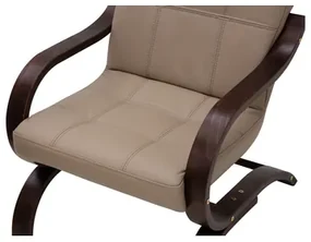 Kožené kreslo ERYK