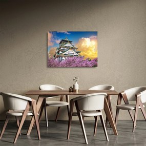 Sklenený obraz - Osacký hrad (70x50 cm)