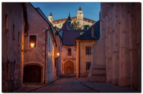 Obraz na plátne - Bratislava staré mesto s hradom vzadu 1265A (120x80 cm)