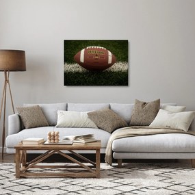 Sklenený obraz - Futbal (70x50 cm)