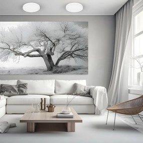 Stropné LED svietidlo Maq, 1x LED 24w, 3000-6500k, w