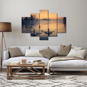 Obraz labutí na vode v hmle (150x105 cm)