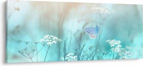 Obraz - Motýlik v modrom (120x50 cm)