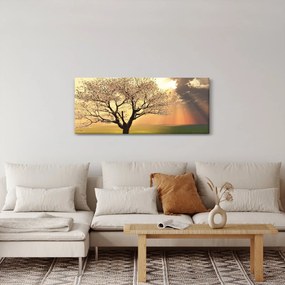 Obraz stromu na lúke (120x50 cm)