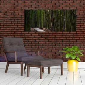 Obraz - Medzi bambusy (120x50 cm)