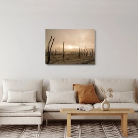 Sklenený obraz - Holé stromy (70x50 cm)