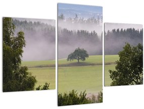 Obraz lúky so stromom (90x60 cm)