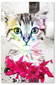 Obraz na plátně Abstraktní barevná kočka - 80x120 cm