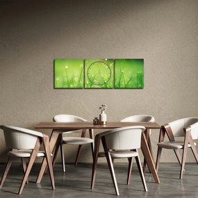 Obraz - rosa na tráve (s hodinami) (90x30 cm)