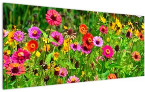 Obraz lúčnych kvetov (120x50 cm)